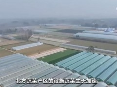 農業農村部：3月份全國蔬菜價格環比下降10.8%